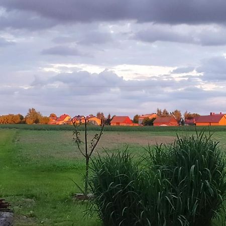 Zlota Pasieka Zator Przeciszow Exteriör bild